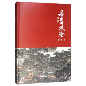 正版新书]丹青武隆萧中胤 著9787562197836