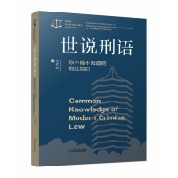 音像世说刑语:你不能不知道的刑法知识王世洲 著