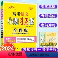 [正版]2024新 高考语文小题狂做全程版 全国卷高考语文 高考模拟题 高考复习资料 高中辅导书 高三高考基础强化冲刺