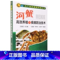 [正版]河蟹高效养殖与疾病防治技术 螃蟹饲养 关键技术养殖技术书籍大全水产养殖书科学养蟹繁育饵料配方疾病防治湖泊 池塘