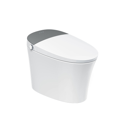 金牌卫浴GOLD R01Z隐藏水箱 泡沫盾脚感智能马桶 KA(含安装)RF3201Z(300坑距)