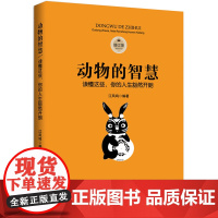 动物的智慧:读懂这些,你的人生豁然开朗(修订版) 江凤鸣 中国华侨出版社 正版书籍