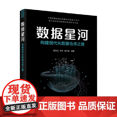 数据星河 构建现代化数据仓库之路 程志远 著 计算机与互联网