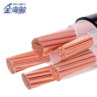 金海鲸 阻燃铠装铜电缆ZCYJV223×95+1 米