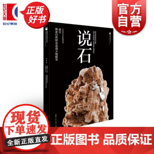 说石 国家珍宝系列丛书 俞莹著上海人民美术出版社艺术收藏入门文玩品鉴图书