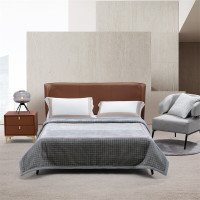 水星家纺 毛毯DH暖雾时光超柔绒感云毯X200cm×230cm/条