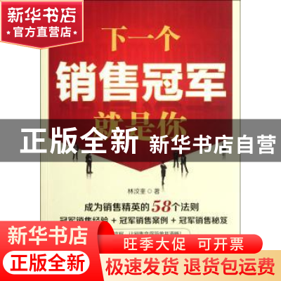 正版 下一个销售冠军就是你 林汶奎著 中国电力出版社 9787512329
