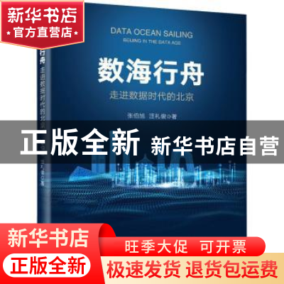 正版 数海行舟——走进数据时代的北京 张伯旭,汪礼俊著 电子工
