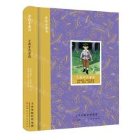 [N]小房子大家庭(精)/金色小童书-9787572904479