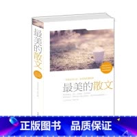 [正版] 美的散文 中外文学经典 提高个人的审美意识文学素养写作水平鉴赏能力人生品位 朱自清鲁迅 等著 书籍 中国华侨