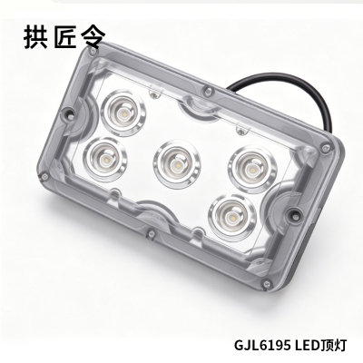 拱匠令 GJL6195 LED顶灯 15W 220V IP65 LED 175*106*50mm(计价单位:台)灰色