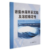 音像岩盐水溶开采沉陷及溶腔稳定任松[等]著