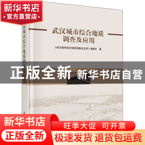 正版 武汉城市综合地质调查及应用 《武汉城市综合地质调查及应用