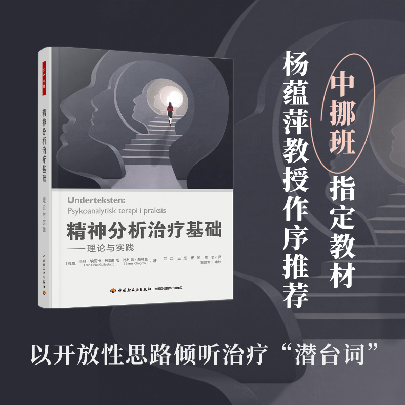 正版新书]精神分析治疗基础——理论与实践(挪威)西丽·埃丽卡·居