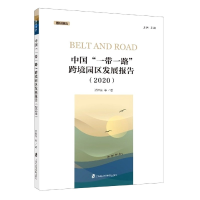 音像中国跨境园区发展报告(2020)/国经报告沈桂龙等