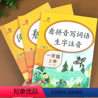 [正版]3本一年级上册看拼音写词语看图说话写话阅读理解人教版RJ小学生1年级语文同步专项训练课外阅读拼音拼读训练每日一