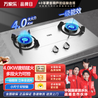 Macro/万家乐燃气灶 大火力灶具 台嵌两用燃气灶 一级能效 家用不锈钢液化气灶具KA031-液化气 4.0kw不锈钢
