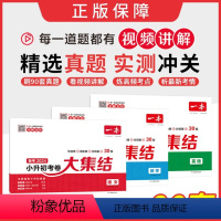 考卷大集结[语数英] 小学升初中 [正版]2024新小升初冲刺新卷考卷大集结语文数字英语全国通用全套名校冲刺练习册小升初