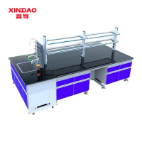 鑫导 实验台 SYT211-钢木中央台定制 米