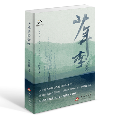 正版新书]少年李的烦恼马鸣谦 著9787530224472