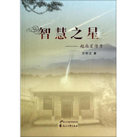 音像智慧之星安明法