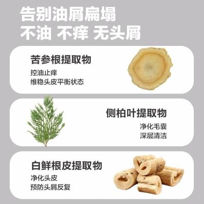 柏缇pote 茶树去屑洗发露 止痒控油蓬松氨基酸洗发水650ml