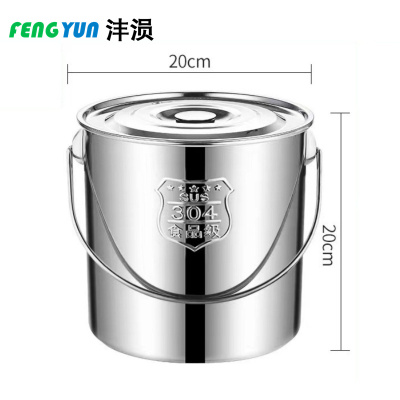 沣涢 不锈钢提水桶 5升 个