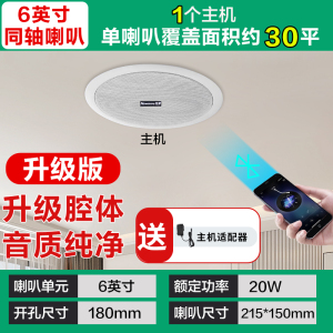纽曼Newsmy蓝牙吸顶音响G-6 主机