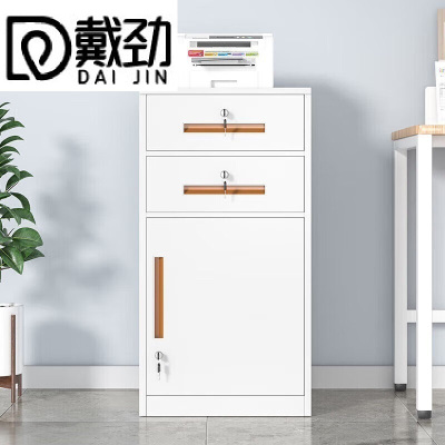 戴劲铁皮文件柜矮柜资料柜带锁抽屉柜桌下收纳小柜子 85高二抽白色