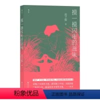 [正版]摸一摸闪电的滋味 赵兰振著 作者行医经历手术过程写实描摹 赵兰振代现代小说文学书籍