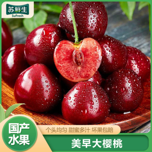 [苏鲜生]山东美早大樱桃 JJJ级 净重4.8斤
