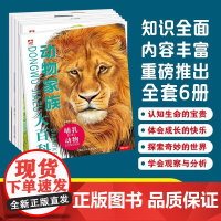 正版动物家族大百科全6册孩子认识动物世界6到12岁儿童科普类读物知识科普绘本让孩子感受精彩绝伦的动物原来这么大亲子读物