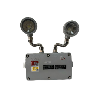中兴防爆 防爆消防应急照明灯具 ZX-ZFZD-E1W-CBBJ