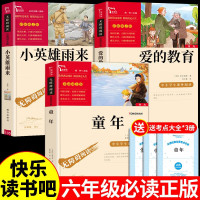 全套3册 爱的教育小英雄雨来童年书高尔基原著快乐读书吧六年级上册 书籍小学生书目六年级课外阅读必读正版课外书老师6上语文