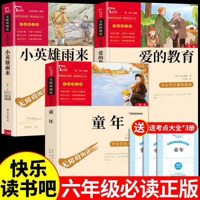 全套3册 爱的教育小英雄雨来童年书高尔基原著快乐读书吧六年级上册 书籍小学生书目六年级课外阅读必读正版课外书老师6上语文