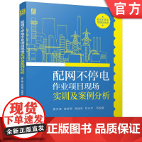 配网不停电作业项目现场实训及案例分析 电网作业 电网检修 电网 配电网 配网线损 电力设备测试 电力设备检修