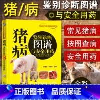 [正版]猪病鉴别诊断图谱与安全用药 养猪技术大全书籍 兽医畜牧 猪病诊断与防治一本通 科学配方猪病安全用药 养猪书籍