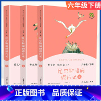 [六年级下册]尼尔斯骑鹅旅行记 [正版]小学语文快乐读书吧一二 三四 五六 年级上 下人民教育出版社神笔马良小英雄雨来和