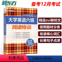[正版] 新东方 2023年新题型大学英语六级阅读特训 cet6级阅读理解专项训练 精选时文核心词汇长难句点津 考