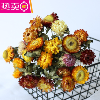 菊花花束价格 菊花花束最新报价 菊花花束多少钱 苏宁易购