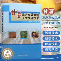 [醉染正版]甘薯高产高效栽培十大关键技术优质高产甘薯绿色高产高效种植技术种植业甘薯育苗方法地瓜高效栽培管理紫薯栽培技术大