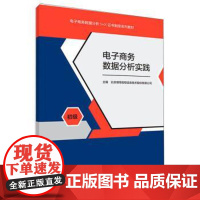 (正版) 电子商务数据分析实践 初级 9787040474114 高等教育出版社 北京博导前程信息技术股份有限公司