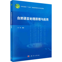 自然语言处理原理与应用