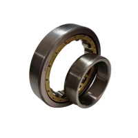 SKSM圆柱滚子轴承NU1044