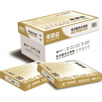 集思益普通复印纸80克/A4/8包/500页