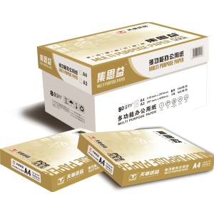 集思益普通复印纸80克/A4/8包/500页