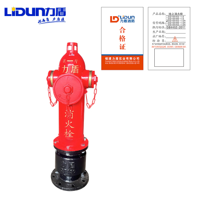 力盾 地上消火栓 SS100/65-1.6A 尖头 台