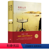 [正版]精装全译我的大学 高尔基 书籍 大悦读语文阅读丛书 少儿读物励志 书籍排行榜CD