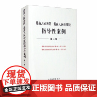 正版 最高人民法院 最高人民检察院指导性案例 第二版 指导性案例编写组 编 中国检察出版社