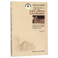 音像未成年人刑事司法社会支持机制研究王贞会等著
